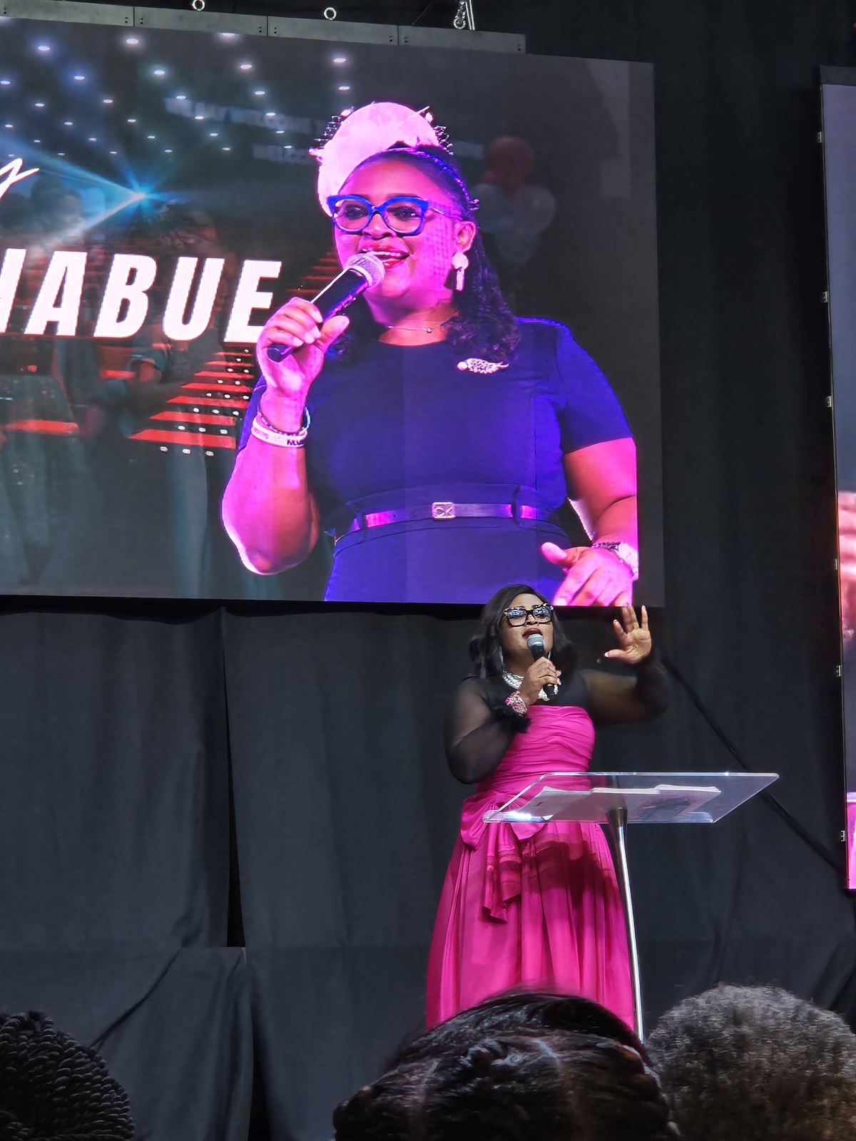 Ebehi Akhabue addresses the house